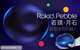 Rokid家庭智能机器人 AI赋能美好生活的创新先锋